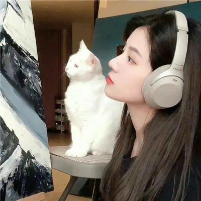 阿宝的故事
